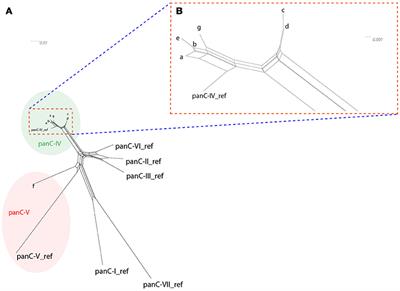 Enterotoxin Production of Bacillus thuringiensis Isolates From Biopesticides, Foods, and Outbreaks